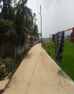 20161018_162449 (749) - Copy (Custom)